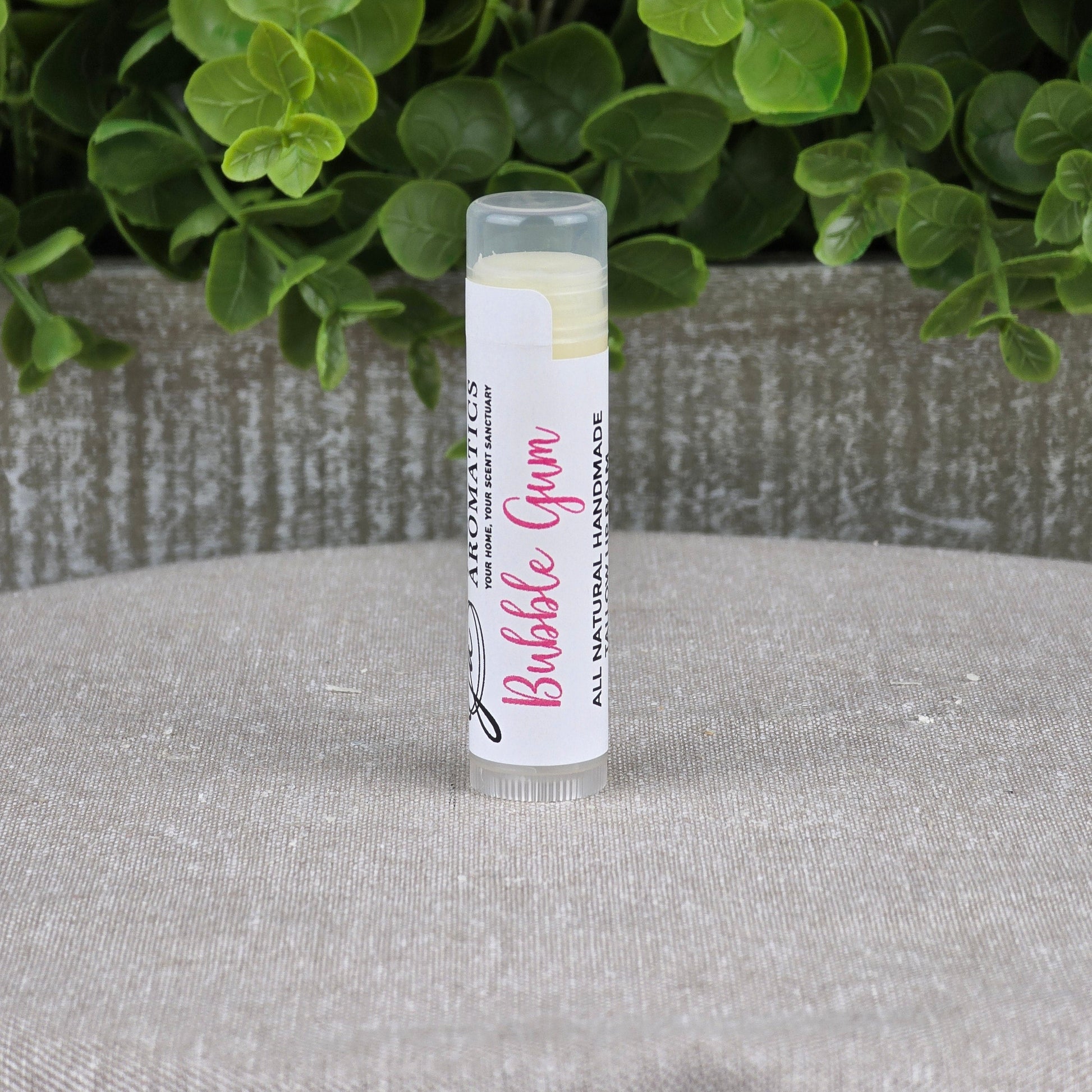 A tube of Jarhead Aromatics Tallow Lip Balm - All Natural - Assorted Flavors stands upright on a gray surface, with green leafy plants and a textured gray planter in the background.