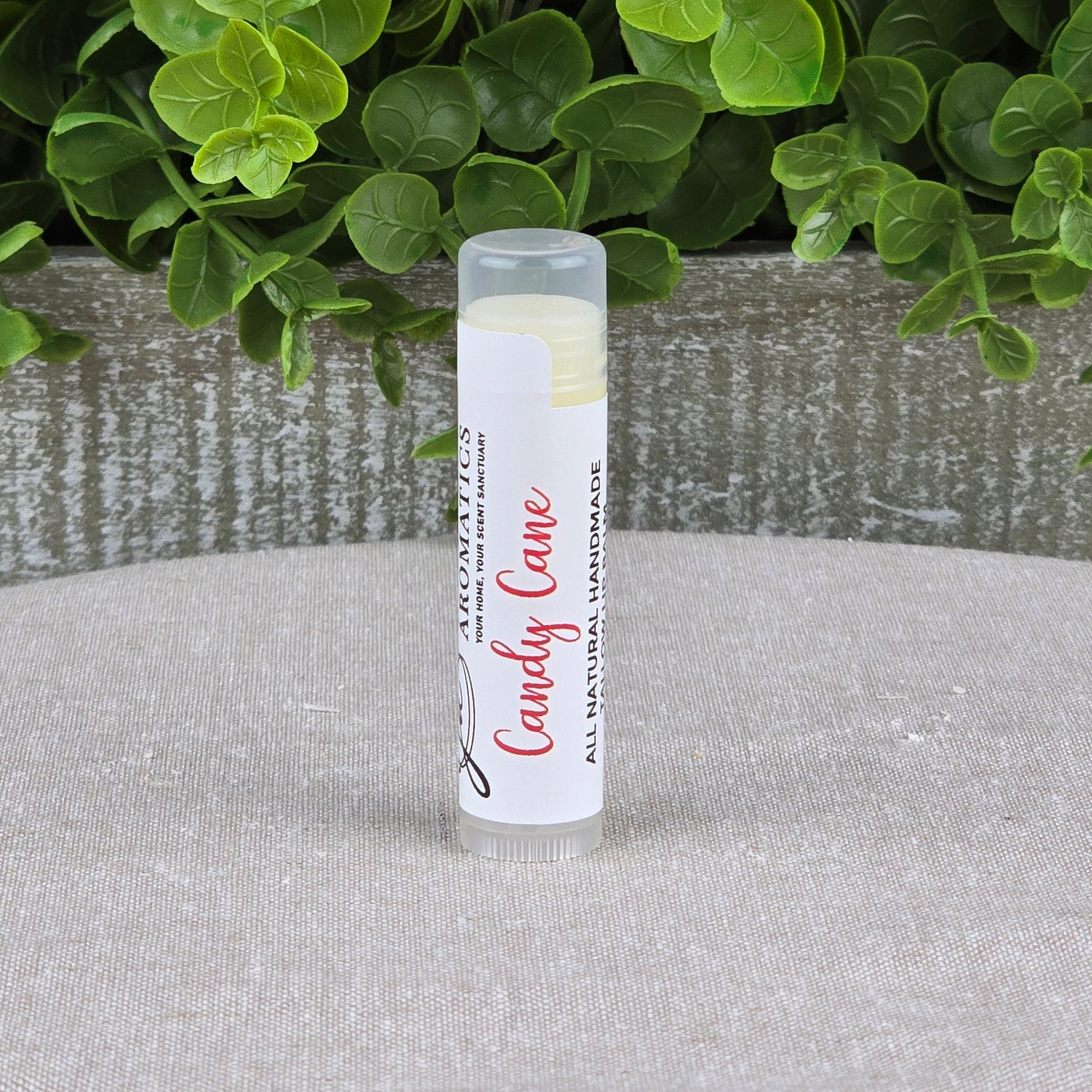 A tube of Jarhead Aromatics Tallow Lip Balm - All Natural - Assorted Flavors stands upright on a light cloth, with green plants and a gray wooden planter in the background. Made with grass-fed beef tallow to keep lips soft and nourished.