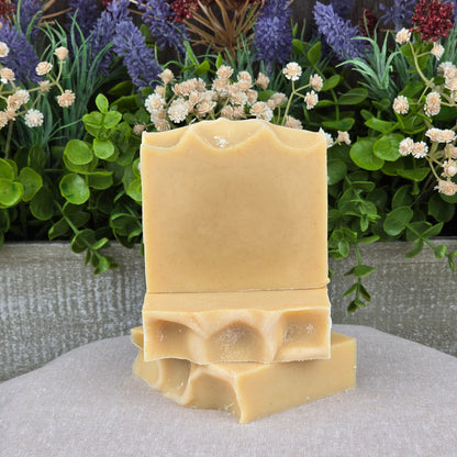 Two bars of Jarhead Aromatics Frankincense + Citrus Handmade Natural Tallow Artisan Soap, with uneven edges, are stacked before lush green leaves and small purple and white flowers on a light fabric background.