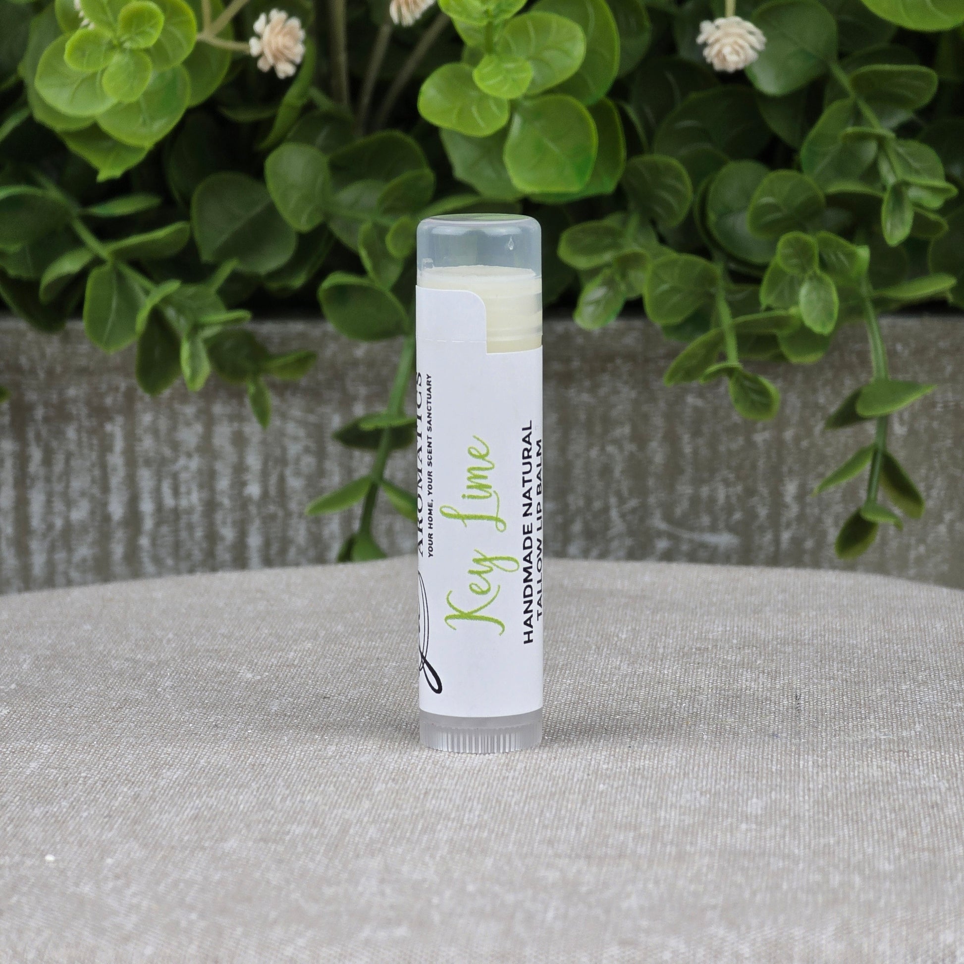 A tube of Jarhead Aromatics Tallow Handmade Natural Lip Balm - Assorted Flavors stands upright on a gray surface, framed by green leafy plants, emphasizing its natural key lime scent.