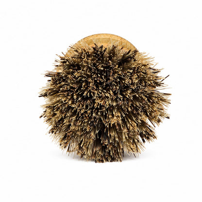 A round Jarhead Aromatics Bamboo Handle Palm & Sisal Fiber Scrubber Brush, photographed from above to highlight its densely packed, brown natural bristles fanning outward against a white background—an ideal choice from their Natural Kitchen Cleaning Brushes set for eco-friendly household care.