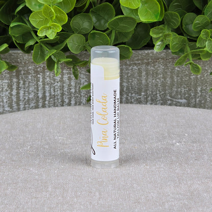 A tube of Jarhead Aromatics Tallow Lip Balm - All Natural - Assorted Flavors stands upright on a light gray surface, with green leafy plants and a gray textured planter in the background.
