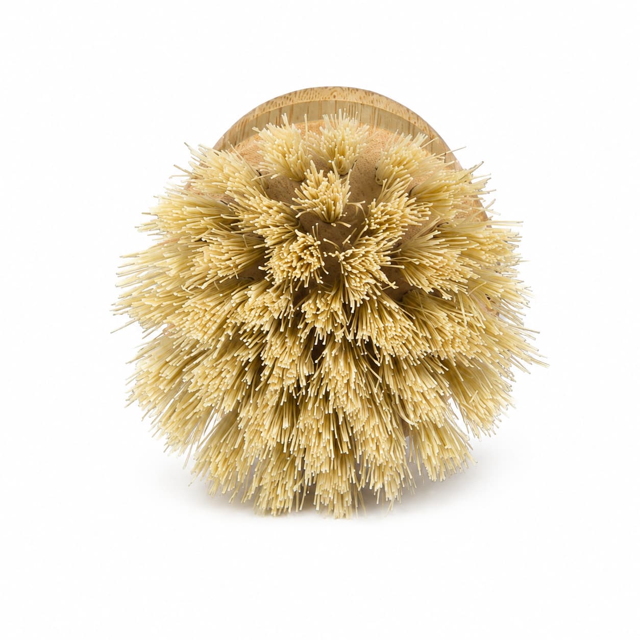 A Jarhead Aromatics Bamboo Handle Palm & Sisal Fiber Scrubber Brush from the Natural Kitchen Cleaning Brushes set is displayed against a white background, viewed head-on from the bristle end. This eco-friendly cleaning brush features a round bamboo handle and durable, stiff sisal fiber bristles—perfect for everyday scrubbing tasks.