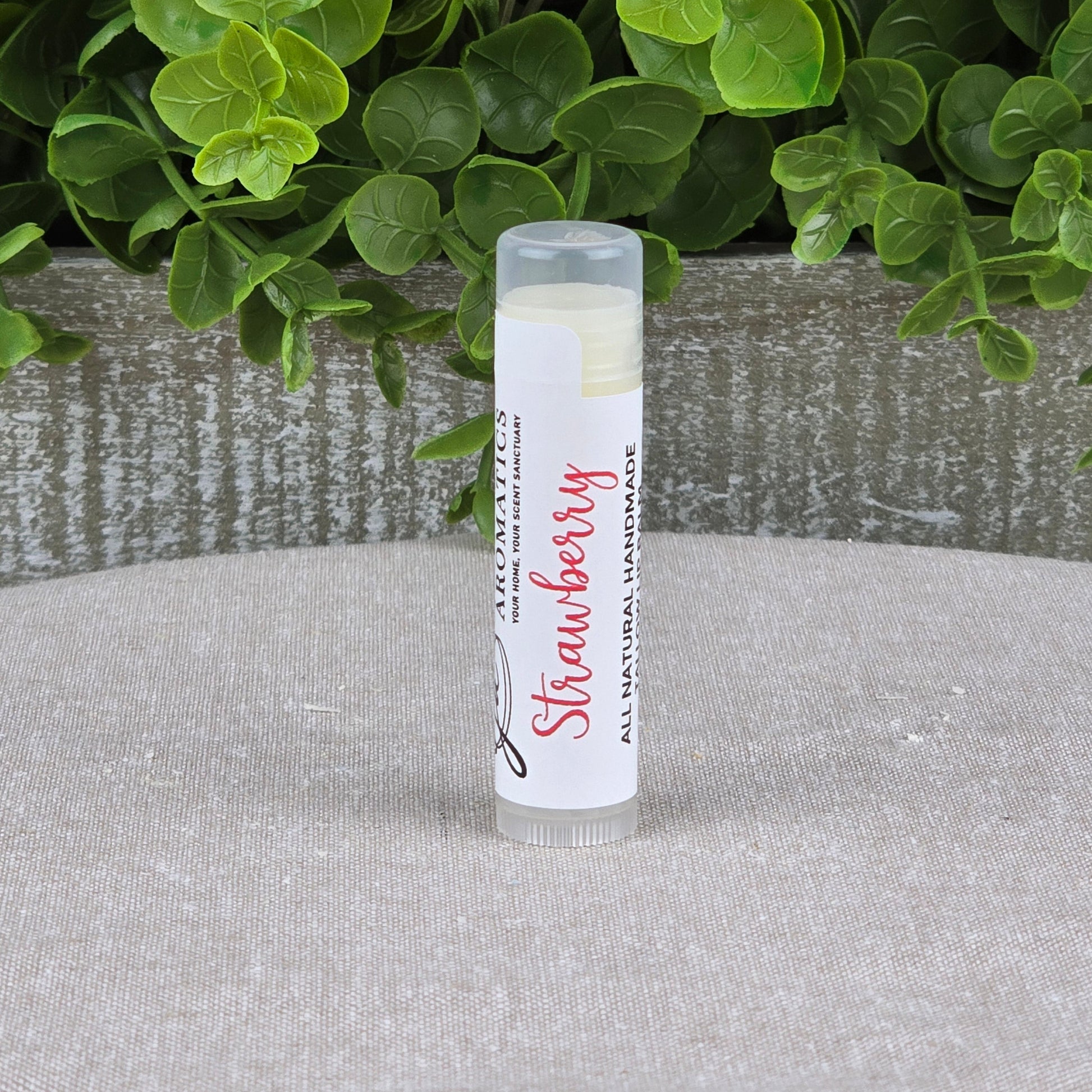A tube of Jarhead Aromatics Tallow Lip Balm - All Natural - Assorted Flavors stands upright on a light fabric surface, with green leafy plants and a textured wooden planter in the background.